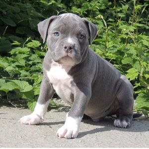 Meet your Posher, Winter